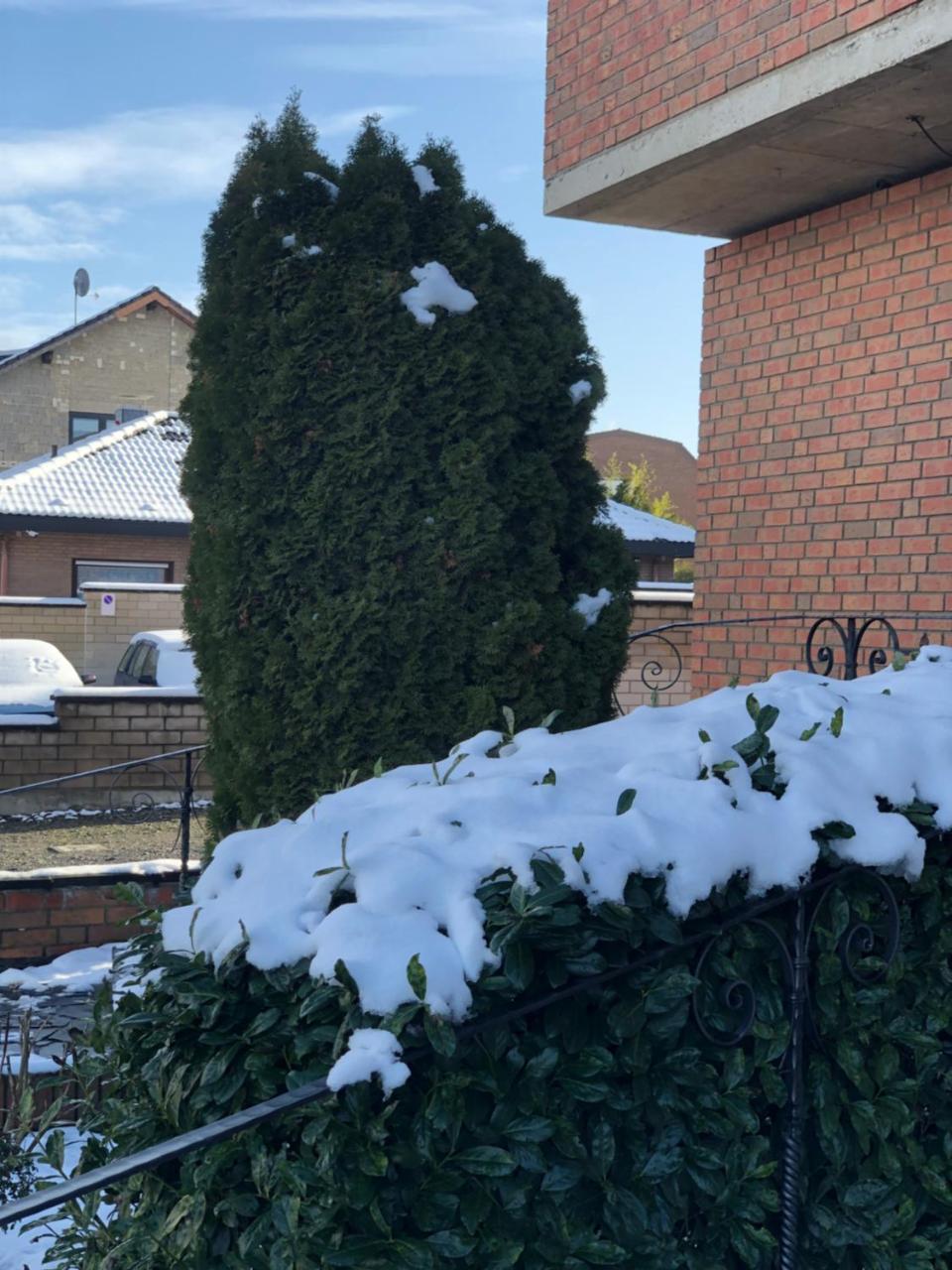 Hotel Garni Schafer Horrem Eksteriør billede